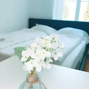 Deluxe Double Kp Apartamento Viena